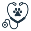 Medical Virtual Assistant